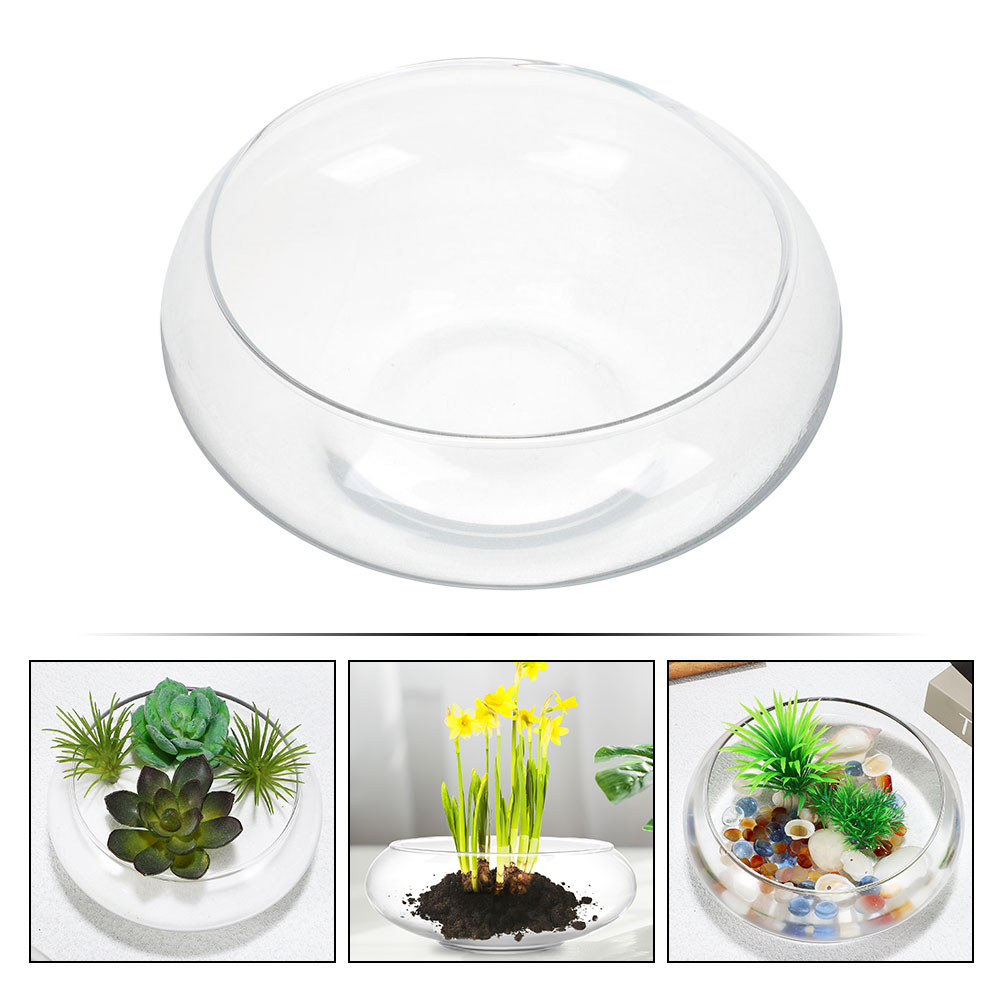 Wide Mouth Glass Vase Narcissu - Propagation Station Vase incelemesi ve fiyatı