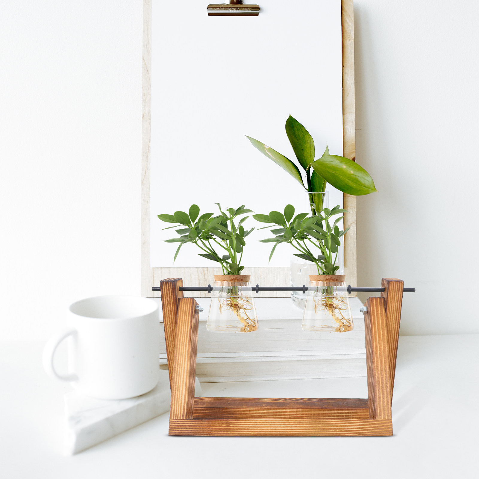 Hydroponic Propagating Jars Ho - Propagation Station Vase incelemesi ve fiyatı