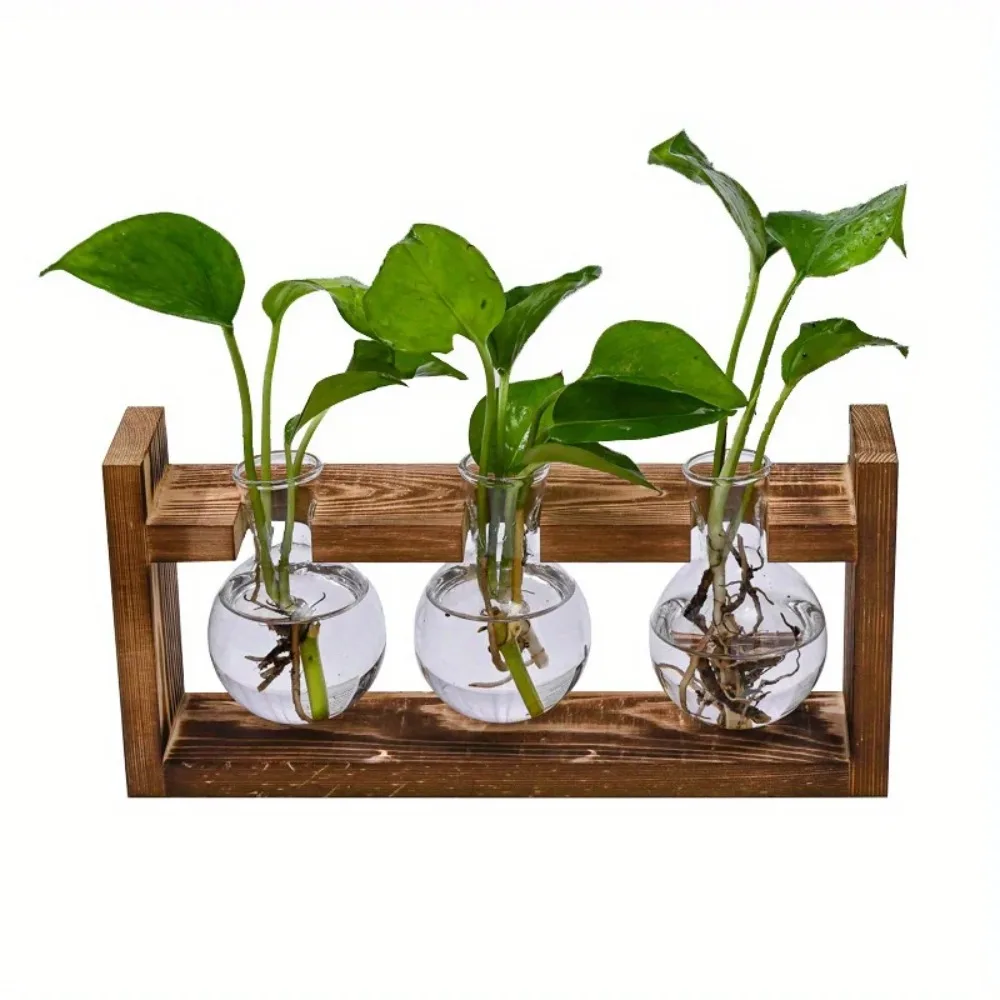 Tabletop Glass Planter Propaga - Propagation Station Vase incelemesi ve fiyatı