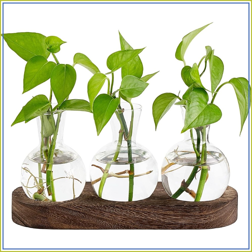 Desktop Plant Propagation Stat - Propagation Station Vase incelemesi ve fiyatı
