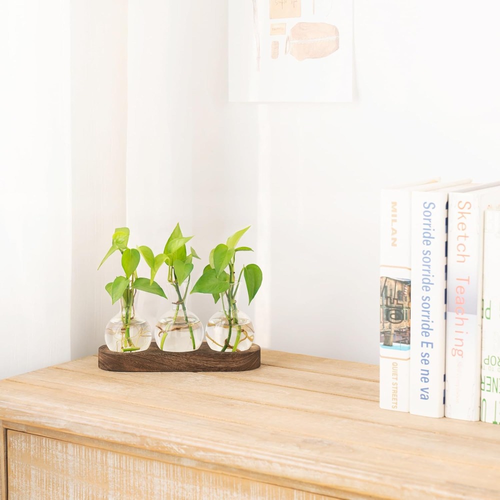 Desktop Plant Propagation Stat - Propagation Station Vase incelemesi ve fiyatı