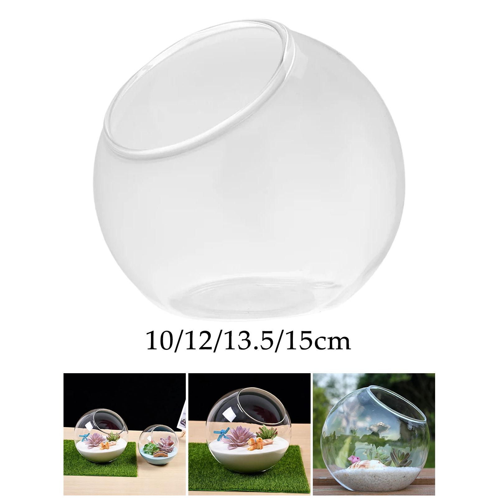Terrarium Glass Vase Unique Ce - Propagation Station Vase incelemesi ve fiyatı