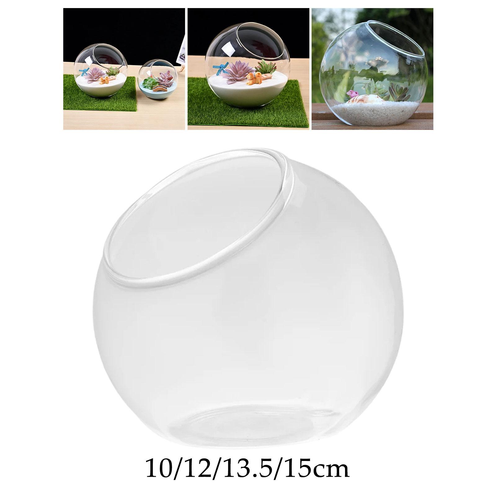 Terrarium Glass Vase Unique Ce - Propagation Station Vase incelemesi ve fiyatı