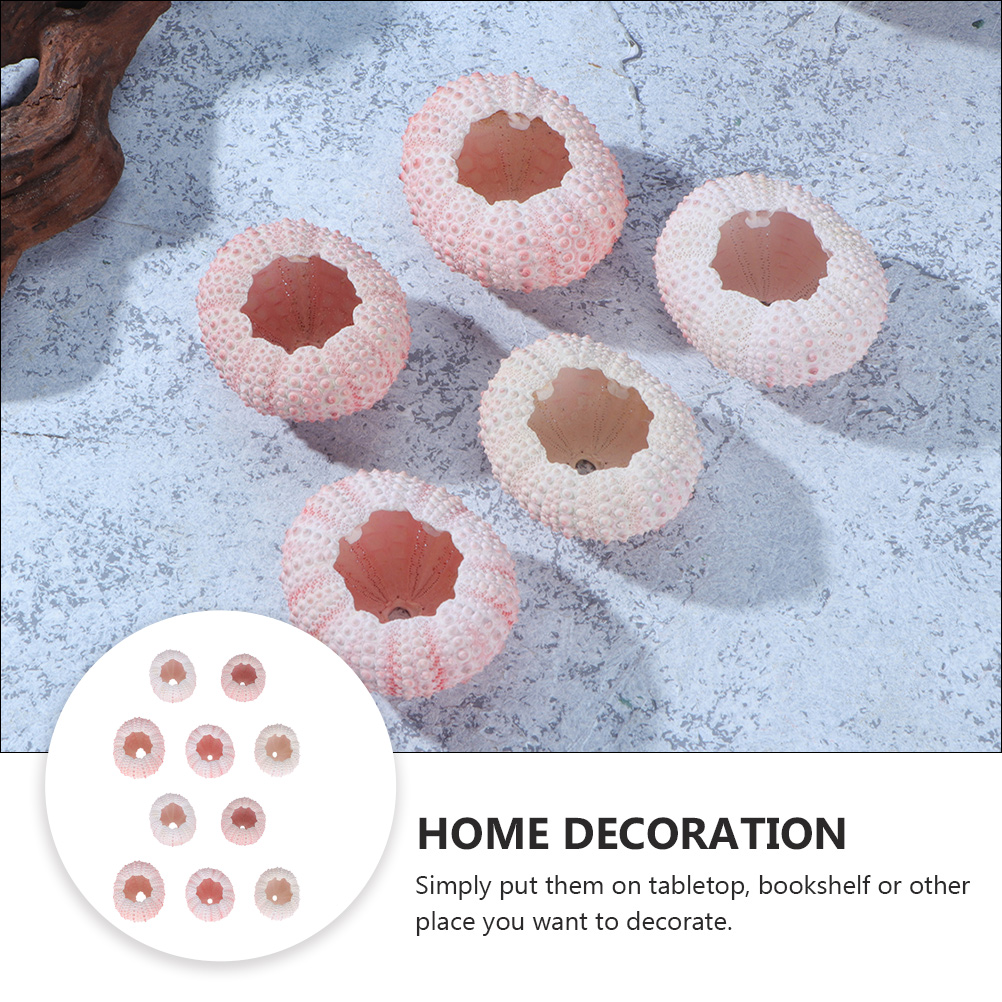 10Pcs DIY Jewelry Making Sea S - Propagation Station Vase incelemesi ve fiyatı
