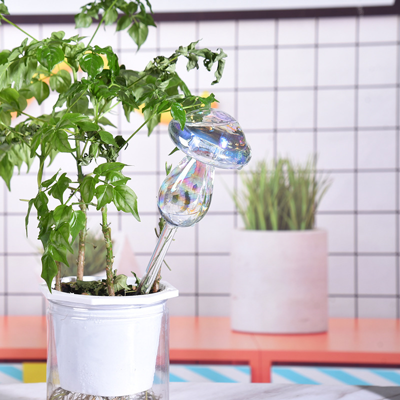 1/2PCS Glass Straw Automatic P - Self Watering Insert incelemesi ve fiyatı