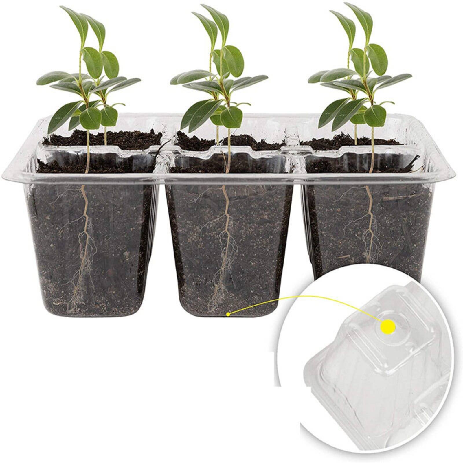 12 Compartment Germination Tra - Humidity Dome Kit incelemesi ve fiyatı