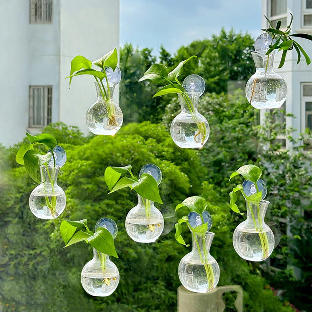 Window Planter Vase Window Pla - Propagation Station Vase incelemesi ve fiyatı