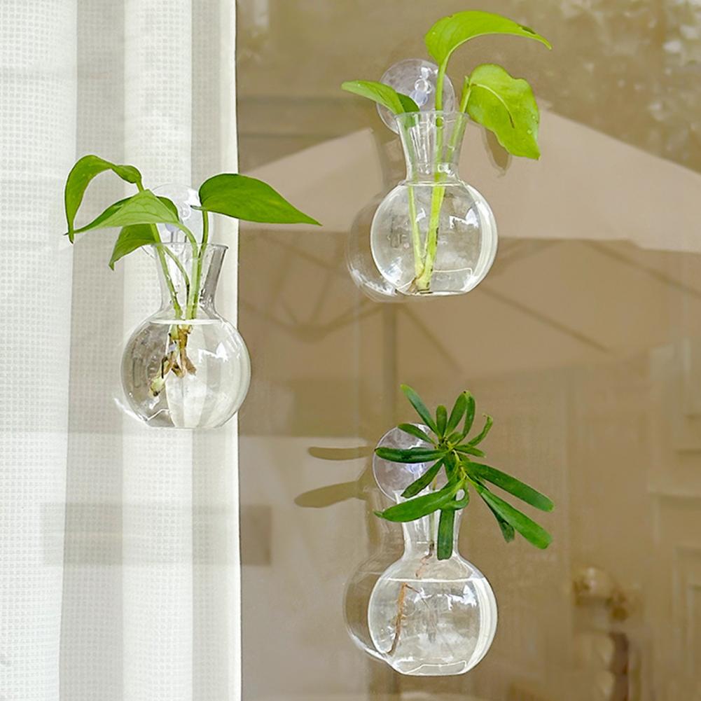 Window Planter Vase Window Pla - Propagation Station Vase incelemesi ve fiyatı