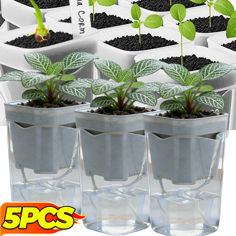 Transparent Flower Plant Pot S - Self Watering Insert incelemesi ve fiyatı