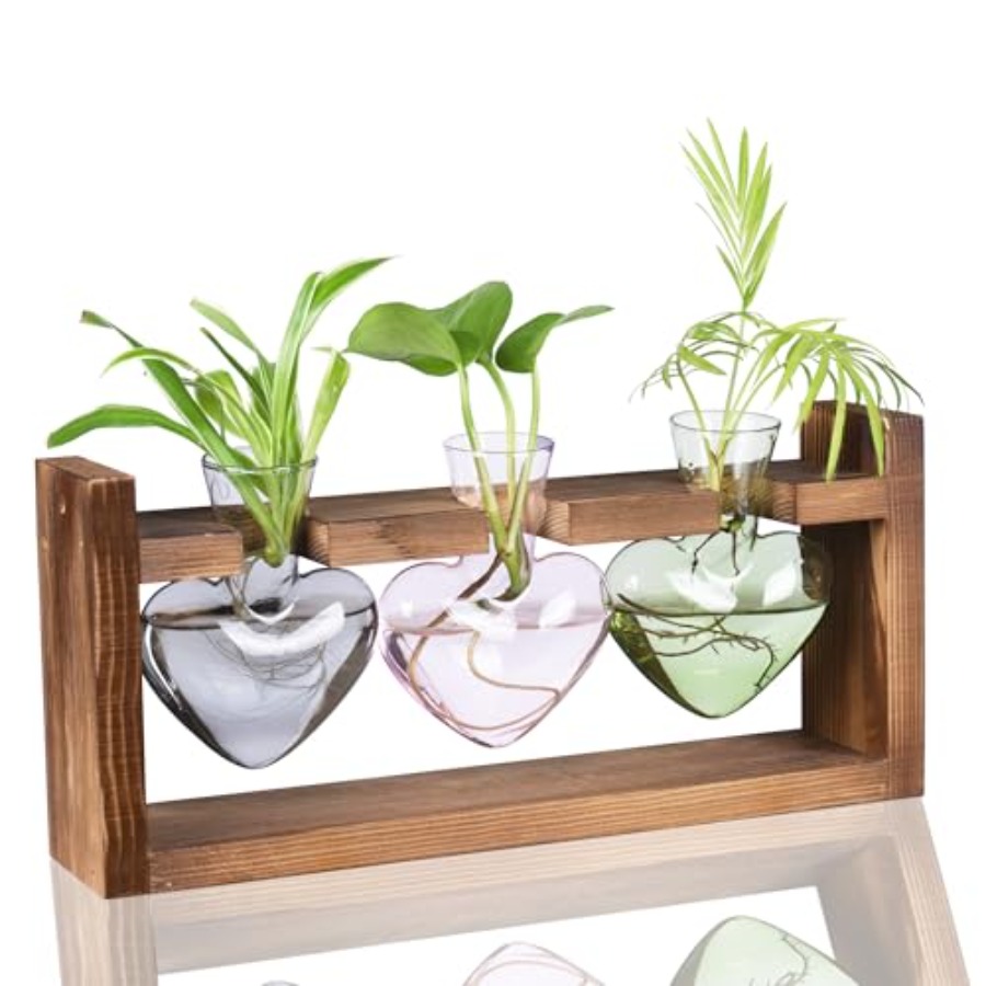 3-Heart Plant Terrarium Kit -  - Propagation Station Vase incelemesi ve fiyatı