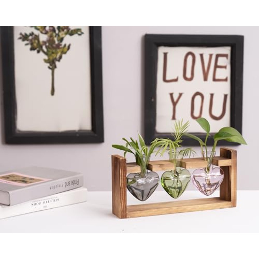 3-Heart Plant Terrarium Kit -  - Propagation Station Vase incelemesi ve fiyatı