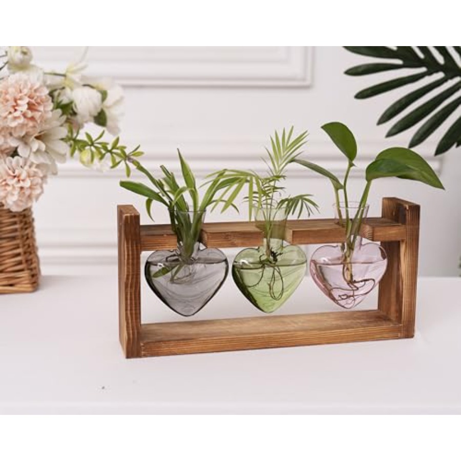 3-Heart Plant Terrarium Kit -  - Propagation Station Vase incelemesi ve fiyatı