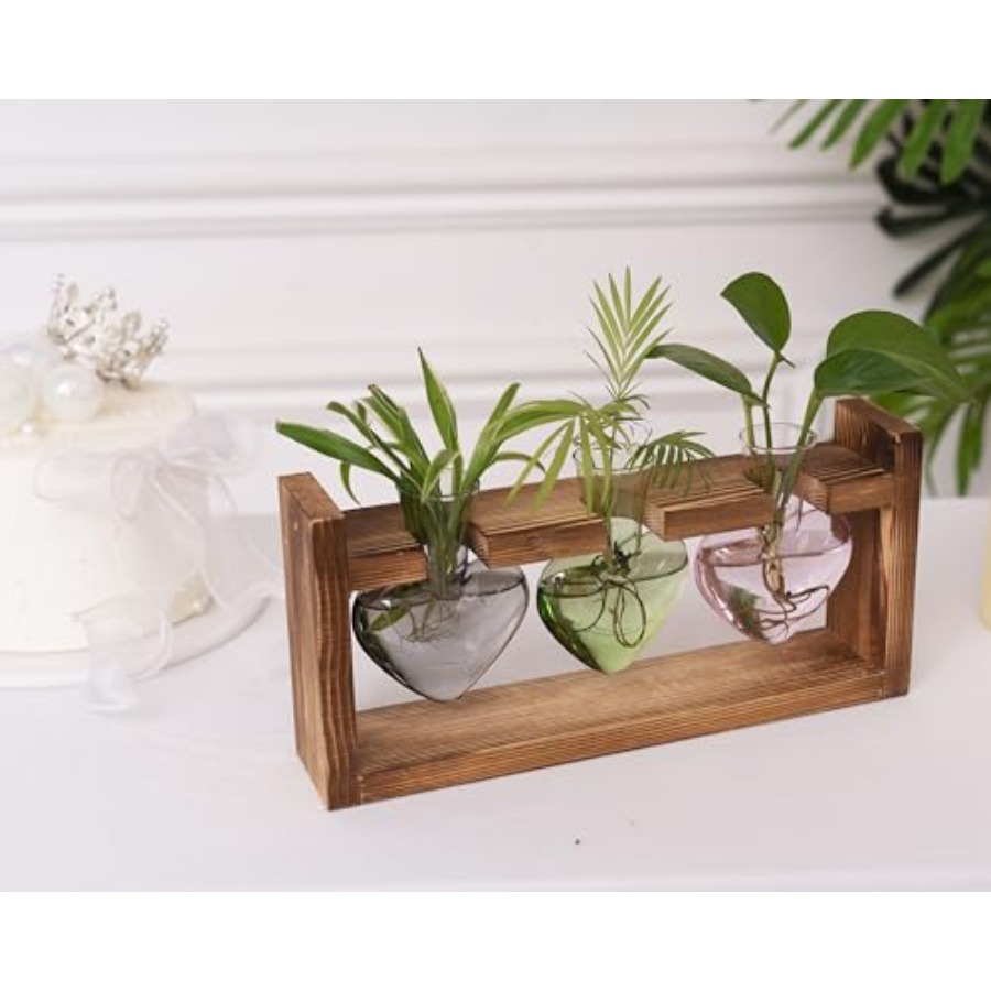 3-Heart Plant Terrarium Kit -  - Propagation Station Vase incelemesi ve fiyatı
