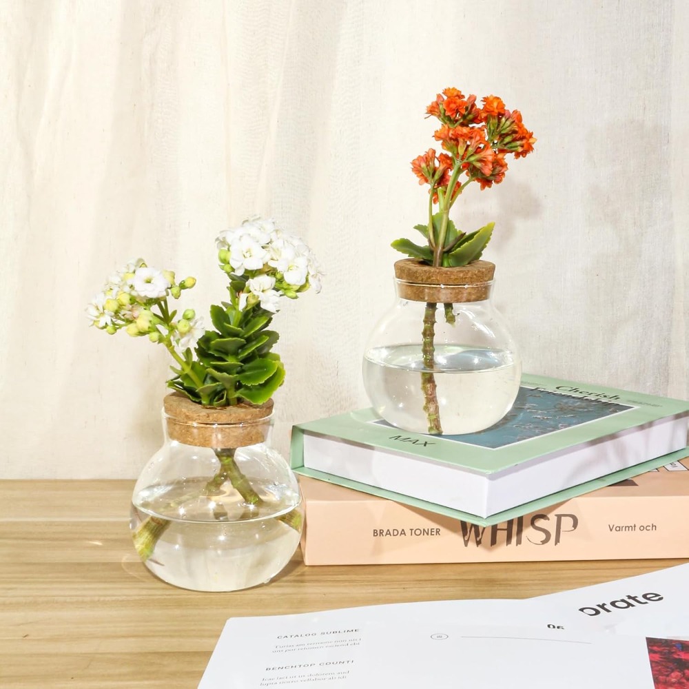 Hydroponic Plant Propagation S - Propagation Station Vase incelemesi ve fiyatı