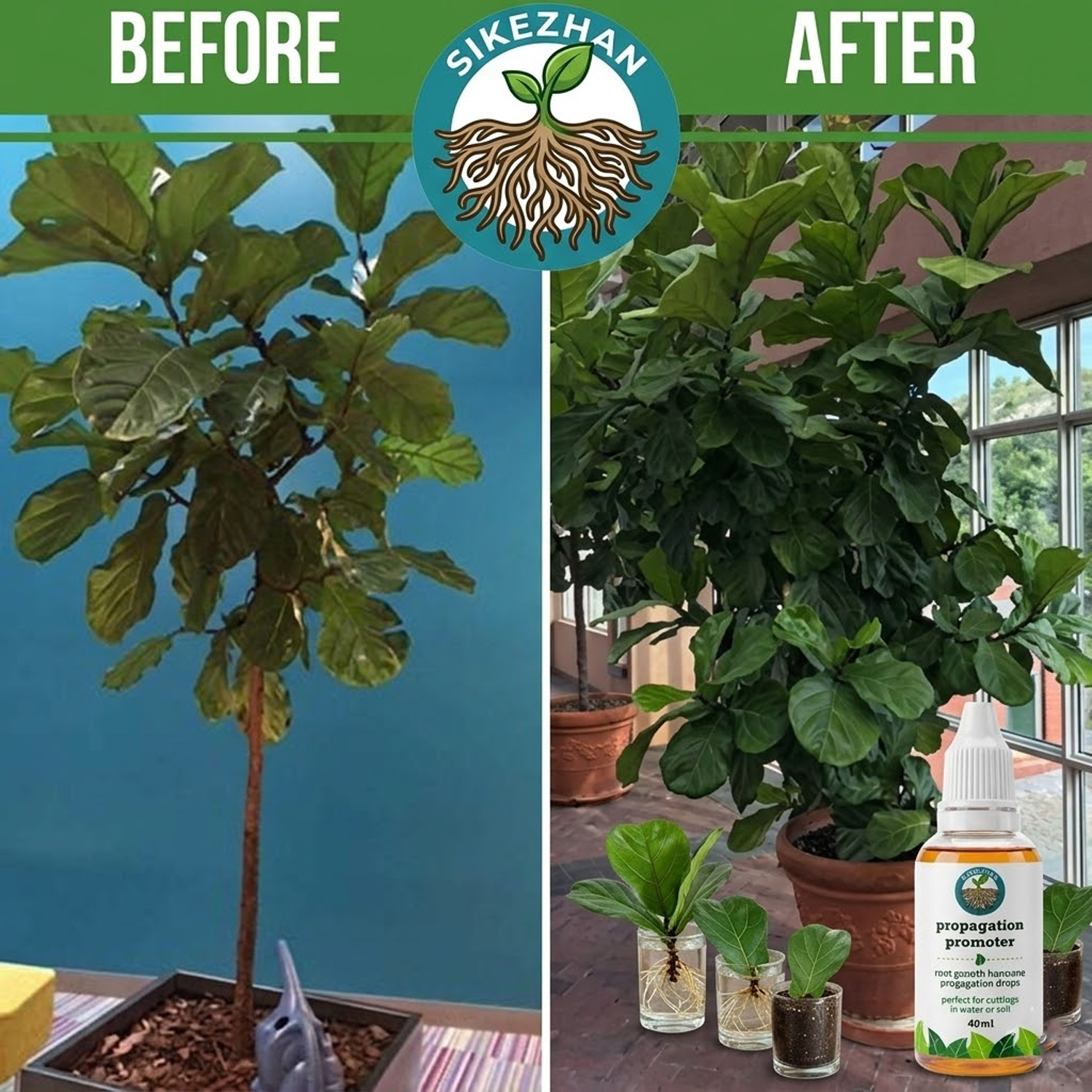 40ml Fast Plant Rooting Liquid - Root Stimulator Liquid incelemesi ve fiyatı