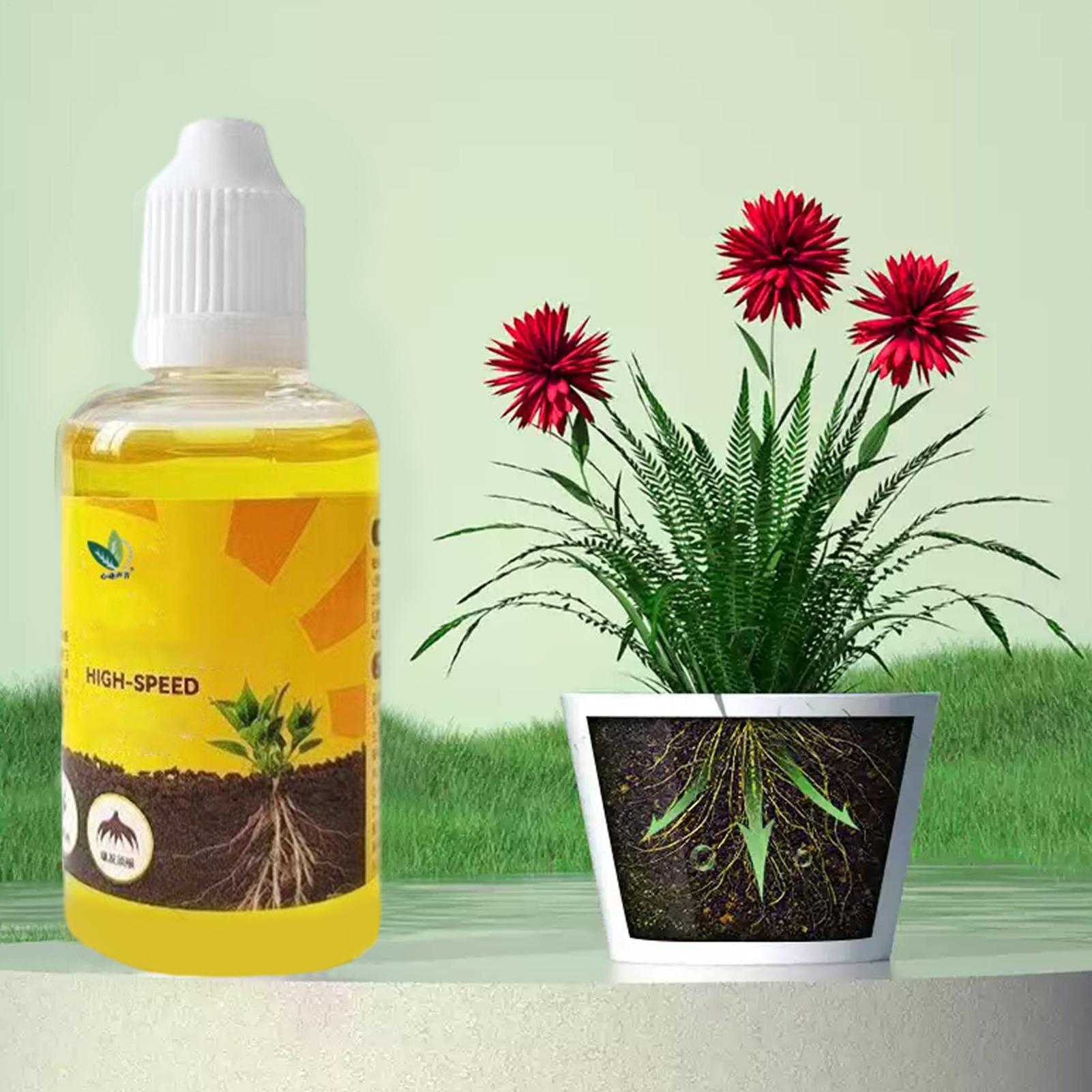 Plant Rapid Rooting Solution 5 - Root Stimulator Liquid incelemesi ve fiyatı