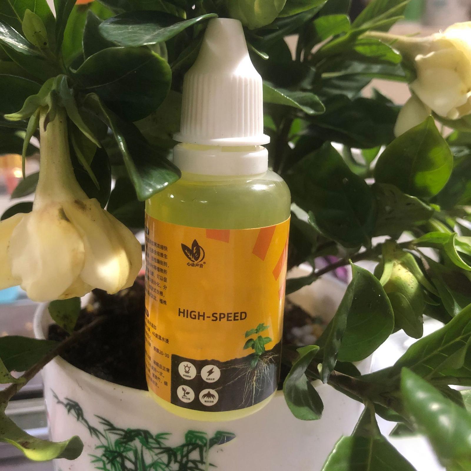 Plant Rapid Rooting Solution 5 - Root Stimulator Liquid incelemesi ve fiyatı