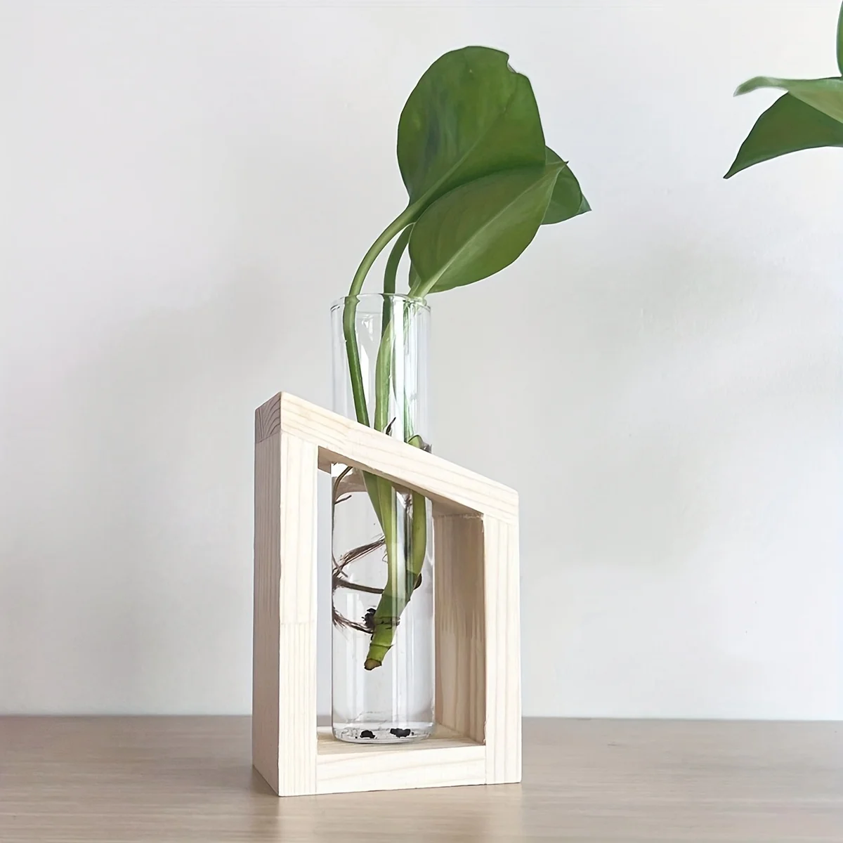 Test Tube Glass Vase Plant Pro - Propagation Station Vase incelemesi ve fiyatı