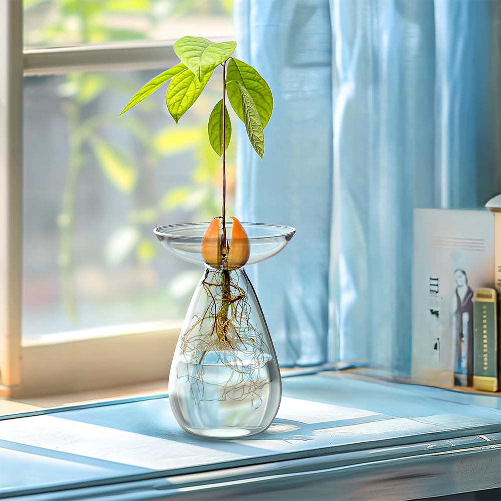 Avocado Seed Starter Vase Tran - Propagation Station Vase incelemesi ve fiyatı