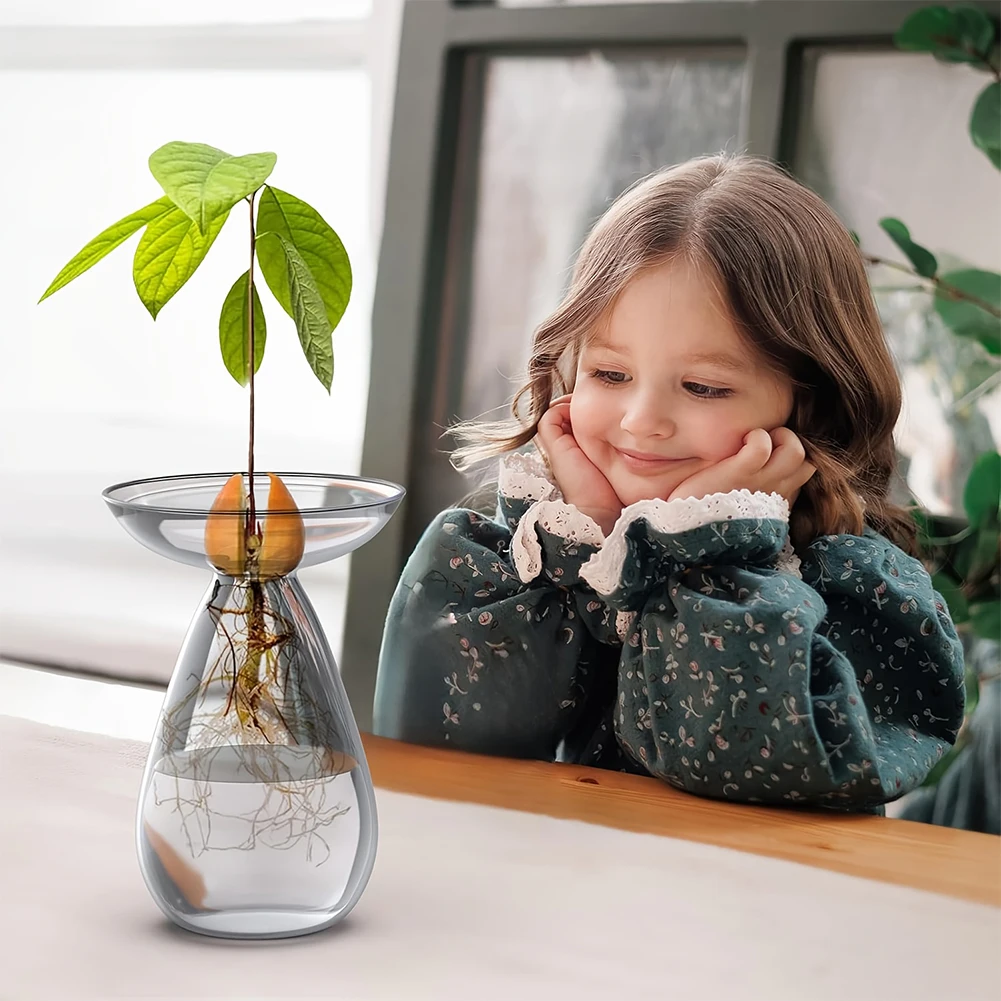 Avocado Seed Starter Vase Tran - Propagation Station Vase incelemesi ve fiyatı