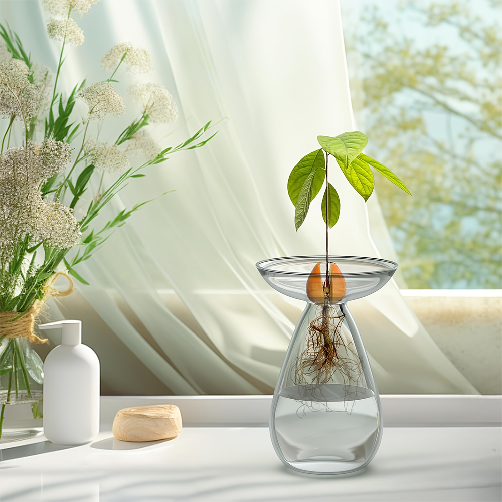 Avocado Seed Starter Vase Tran - Propagation Station Vase incelemesi ve fiyatı