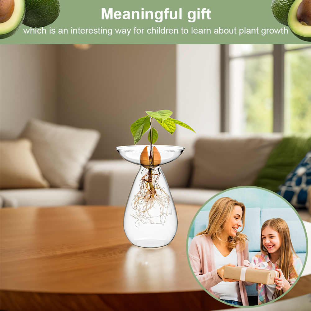 Avocado Seed Starter Vase Tran - Propagation Station Vase incelemesi ve fiyatı