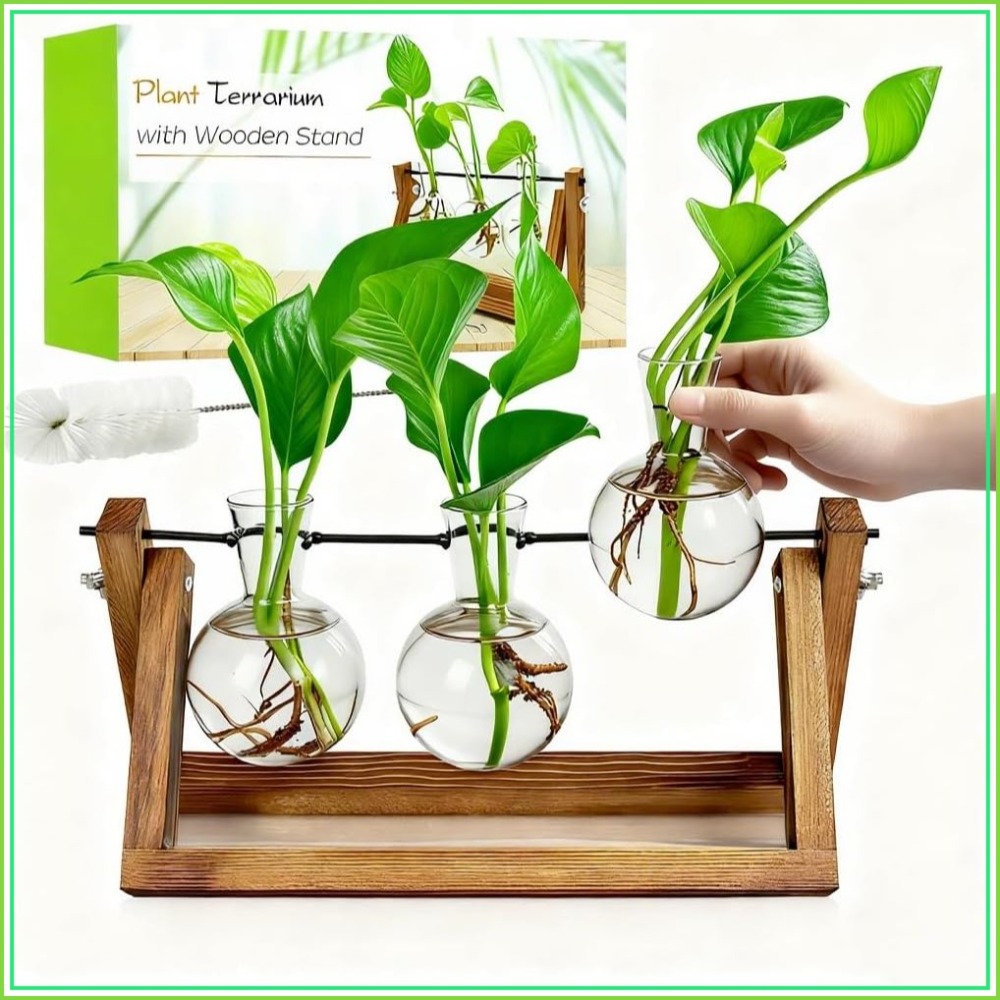 Plant Propagation Station with - Propagation Station Vase incelemesi ve fiyatı