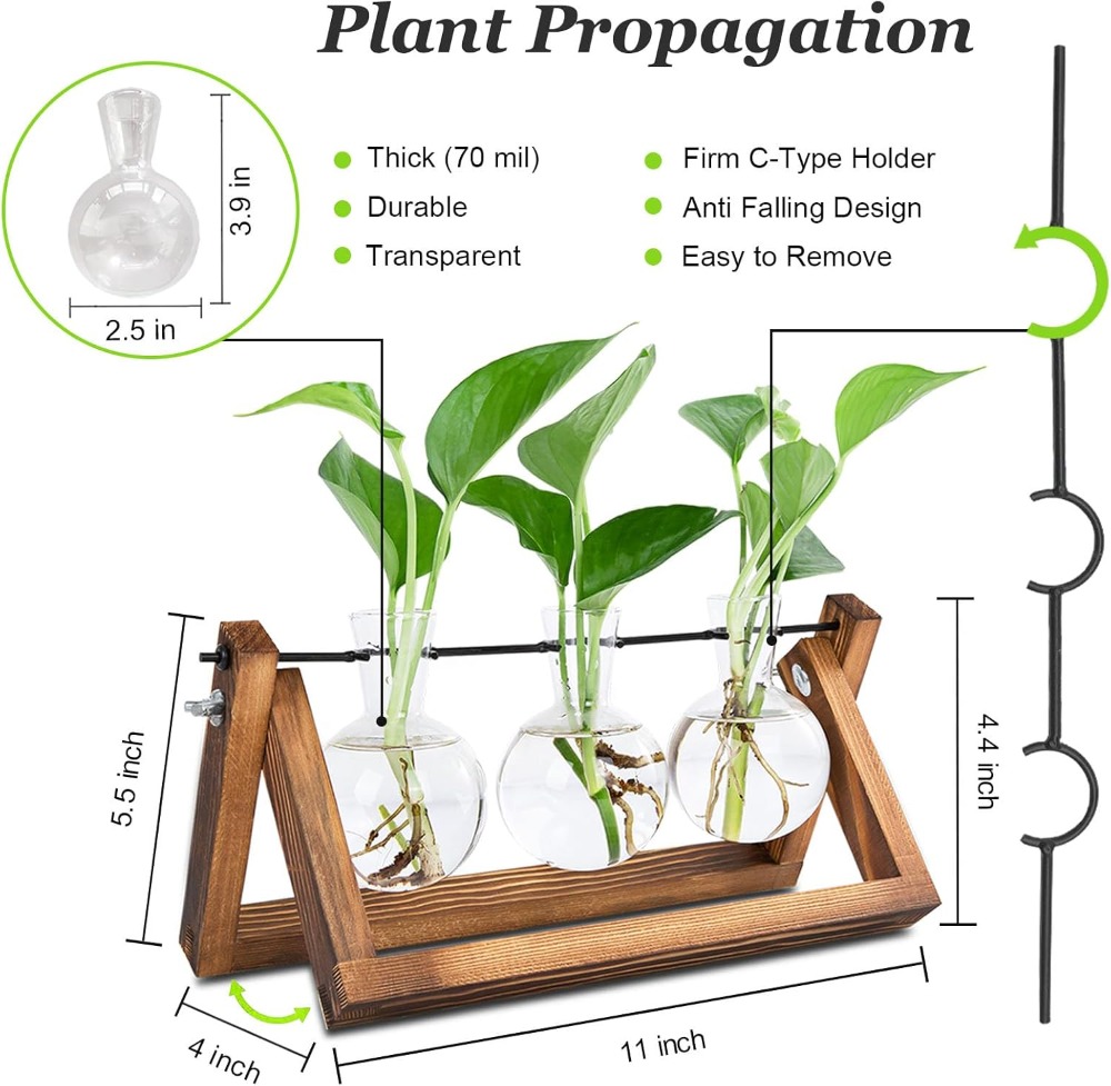 Plant Propagation Station with - Propagation Station Vase incelemesi ve fiyatı