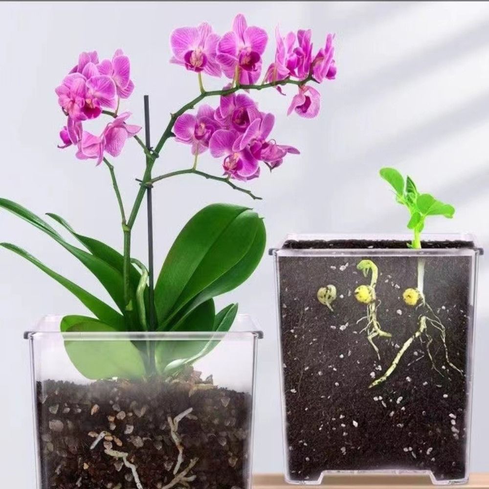 Transparent Material Acrylic P - Self Watering Insert incelemesi ve fiyatı