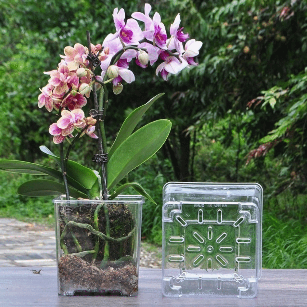 Transparent Material Acrylic P - Self Watering Insert incelemesi ve fiyatı