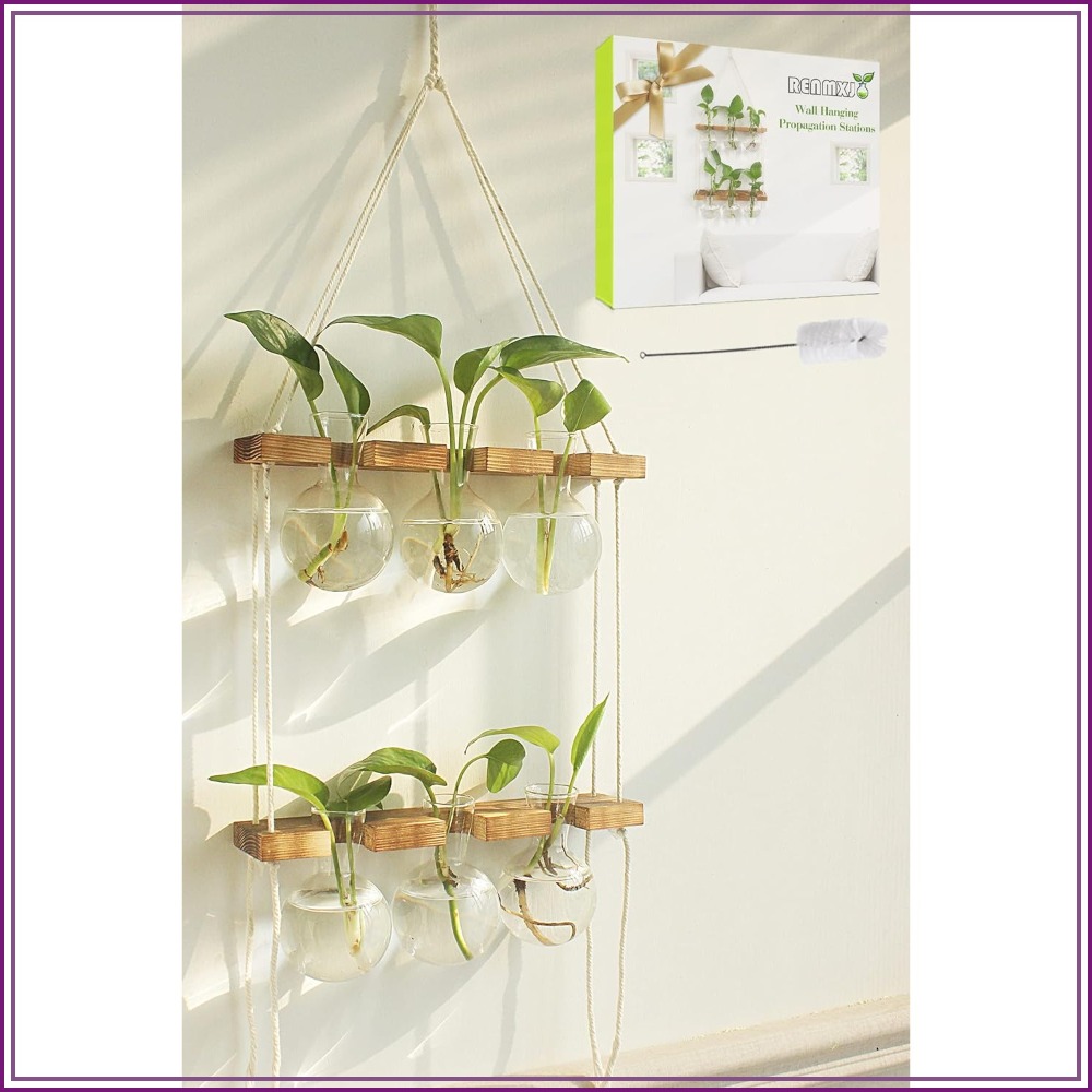 Wall Hanging Plant Propagation - Propagation Station Vase incelemesi ve fiyatı