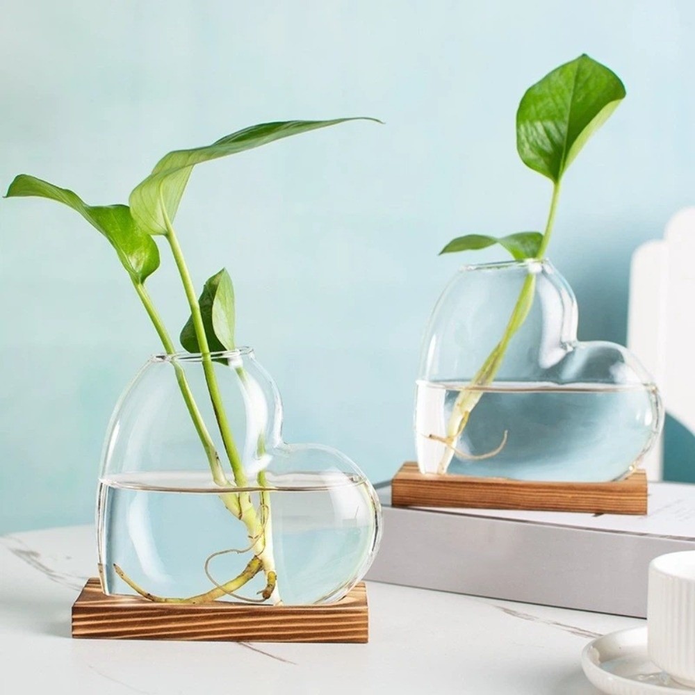 Transparent Hydroponic Glass V - Propagation Station Vase incelemesi ve fiyatı