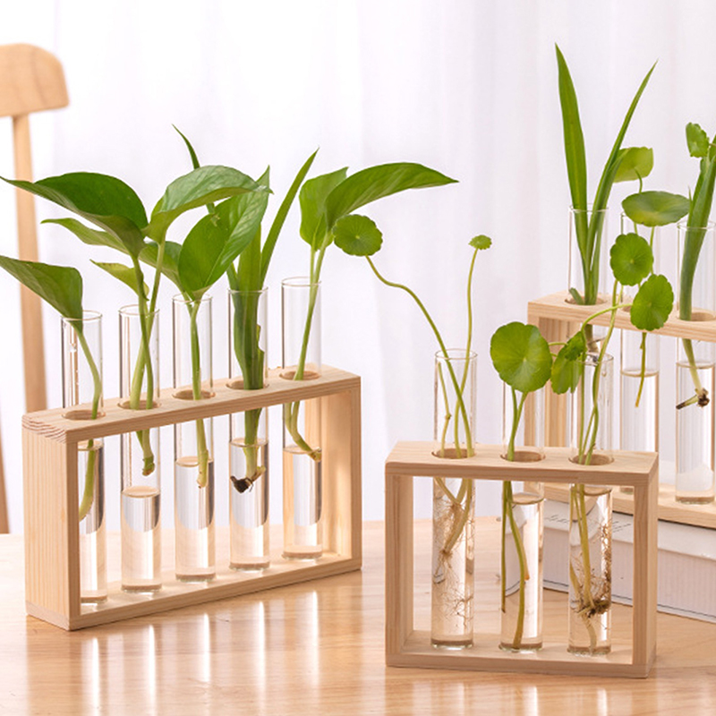 Hydroponic Plants Container wi - Propagation Station Vase incelemesi ve fiyatı