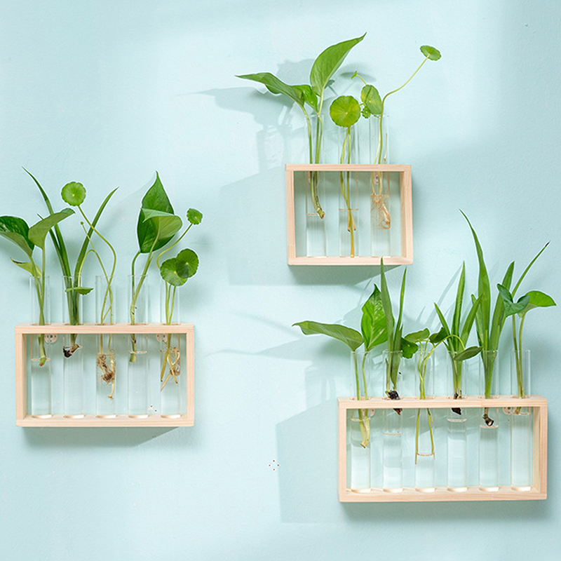 Hydroponic Plants Container wi - Propagation Station Vase incelemesi ve fiyatı