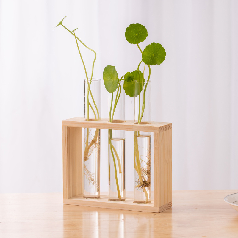 Hydroponic Plants Container wi - Propagation Station Vase incelemesi ve fiyatı