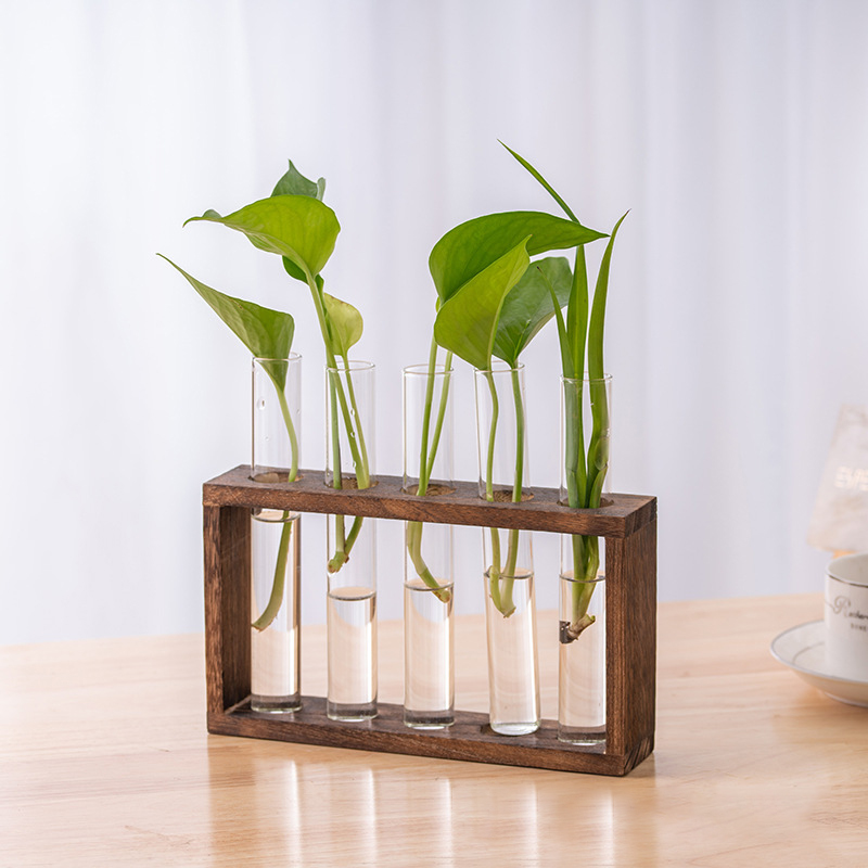 Hydroponic Plants Container wi - Propagation Station Vase incelemesi ve fiyatı