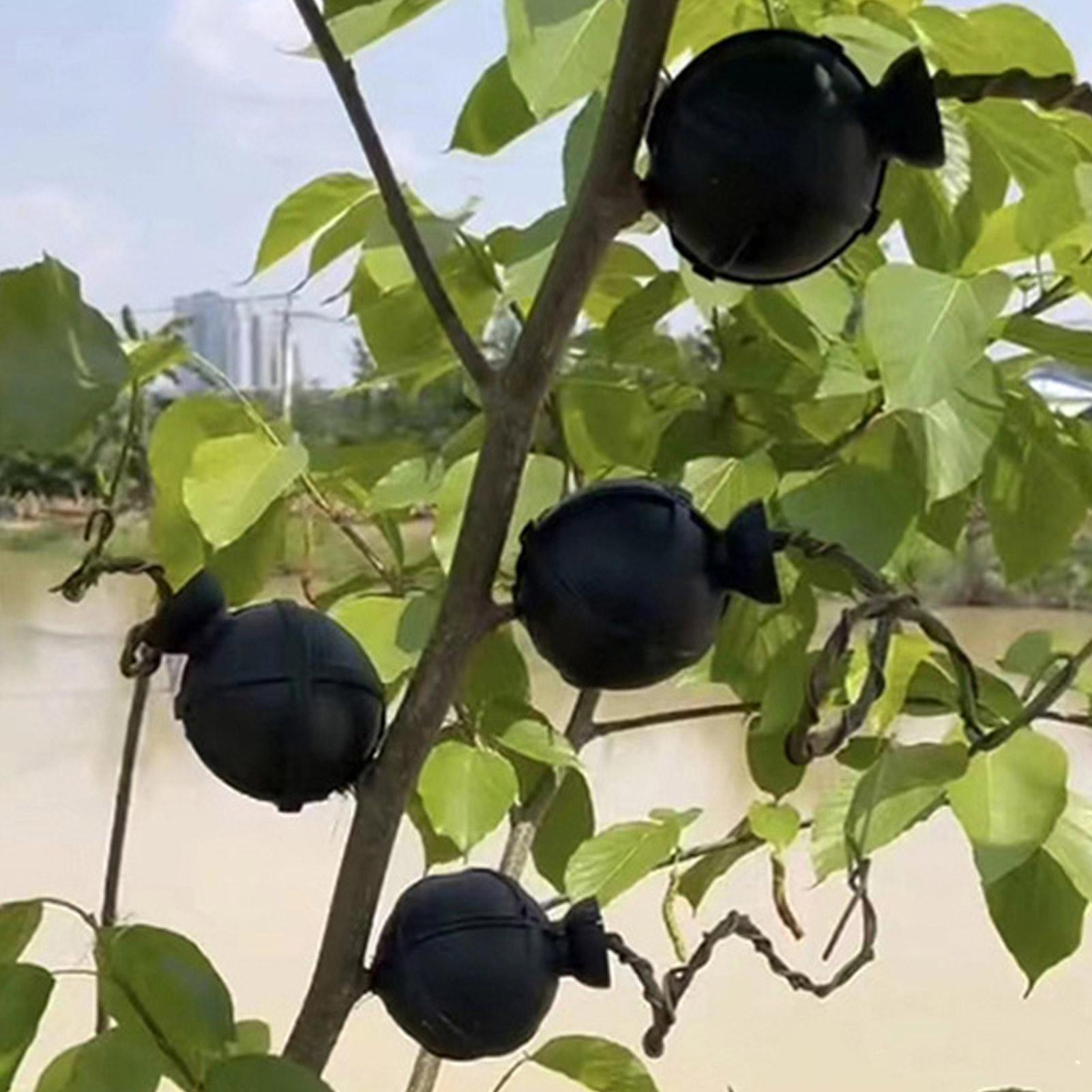 Garden Orchard Plants Grafting - Rooting Gel Clone incelemesi ve fiyatı
