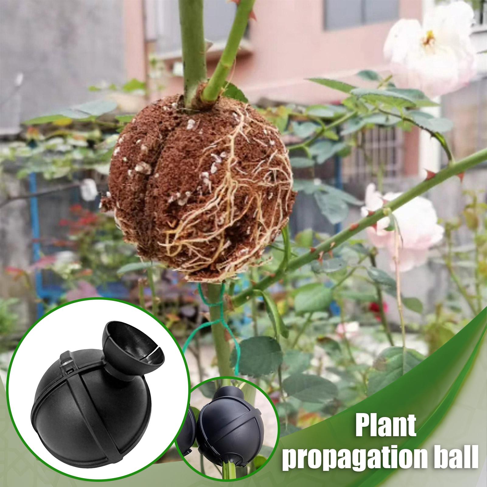 Garden Orchard Plants Grafting - Rooting Gel Clone incelemesi ve fiyatı