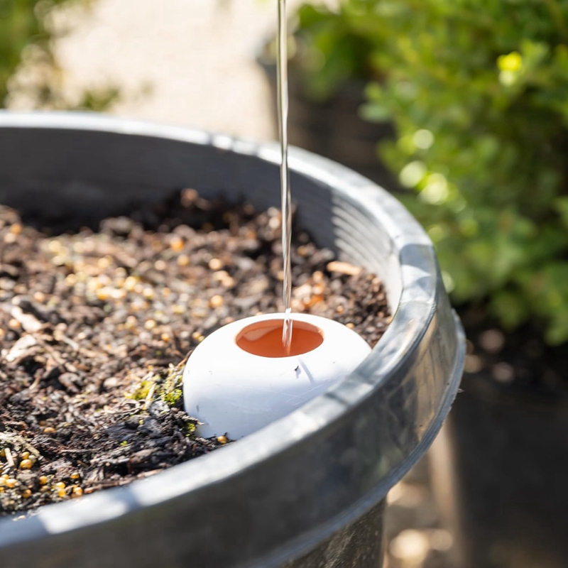 Plant Watering Ball, Terracott - Self Watering Insert incelemesi ve fiyatı